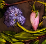 the moral of the flower is the flower